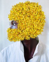 https://www.studiodaubal.com:443/files/gimgs/th-141_webfleur jaune.jpg